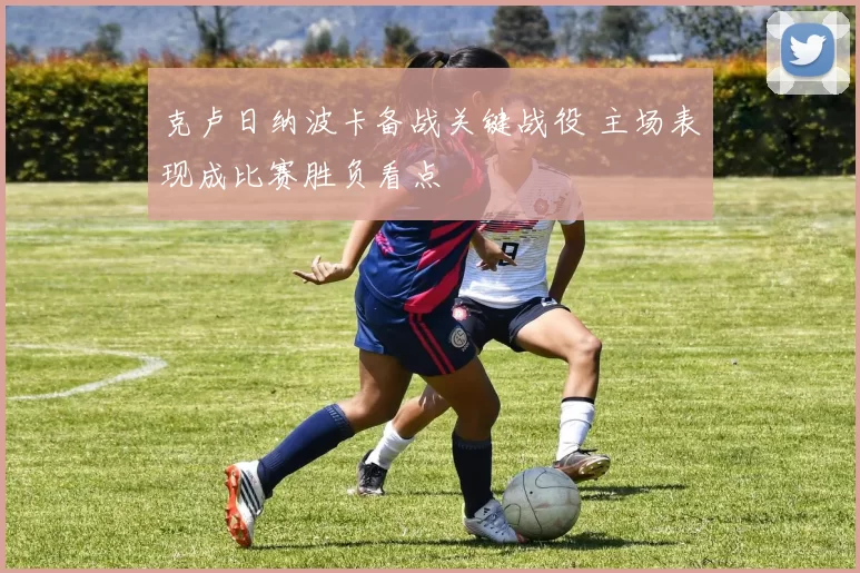 克卢日纳波卡备战关键战役 主场表现成比赛胜负看点