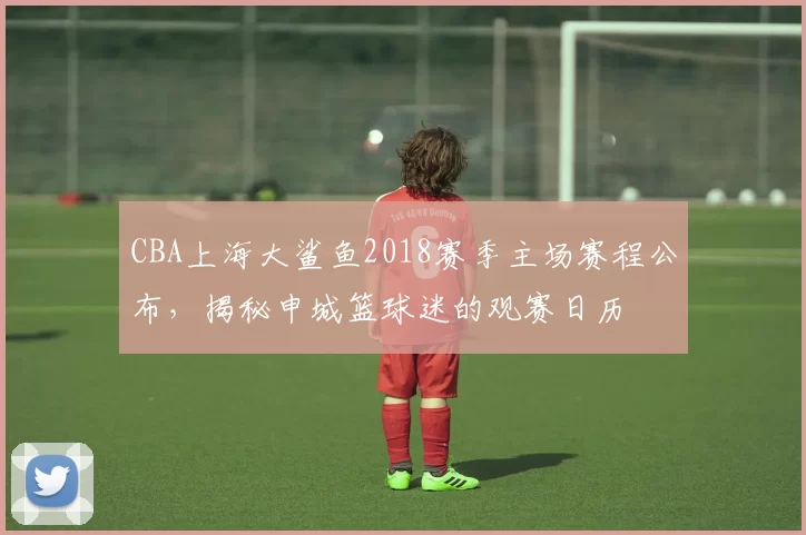 CBA上海大鲨鱼2018赛季主场赛程公布,揭秘申城篮球迷的观赛日历