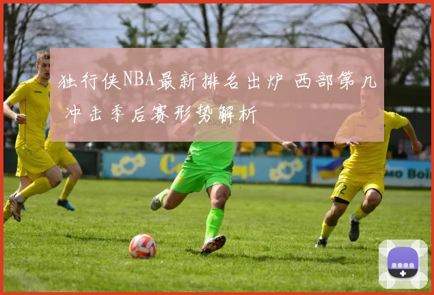 独行侠NBA最新排名出炉 西部第几 冲击季后赛形势解析