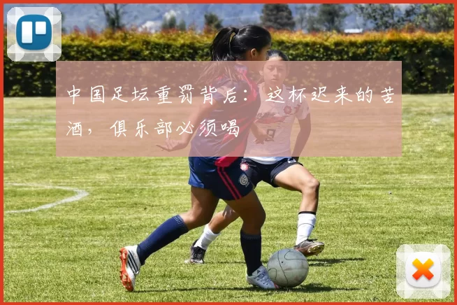 中国足坛重罚背后：这杯迟来的苦酒，俱乐部必须喝