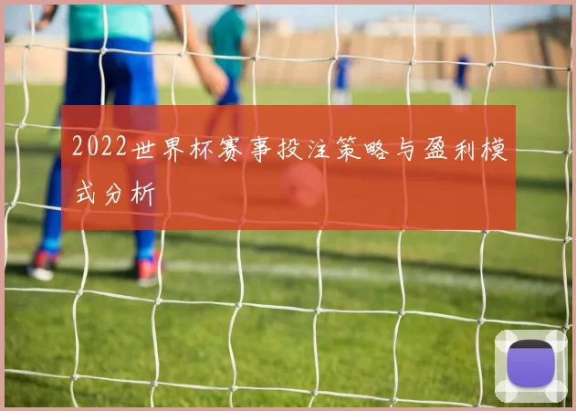 2022世界杯赛事投注策略与盈利模式分析