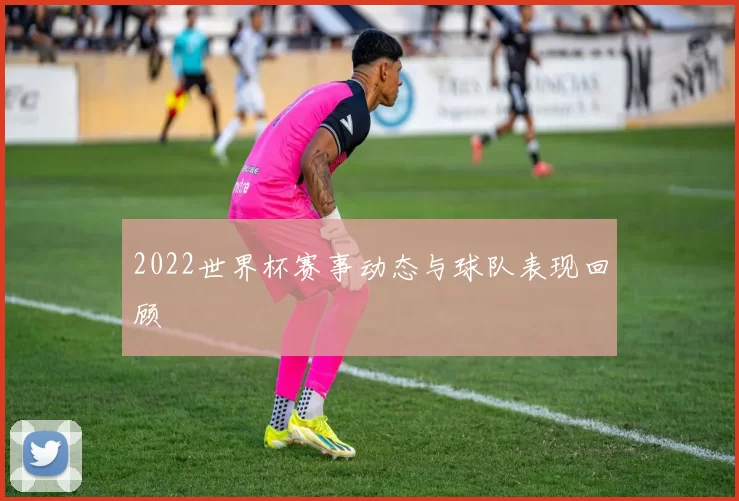 2022世界杯赛事动态与球队表现回顾