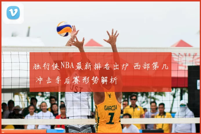 独行侠NBA最新排名出炉 西部第几 冲击季后赛形势解析